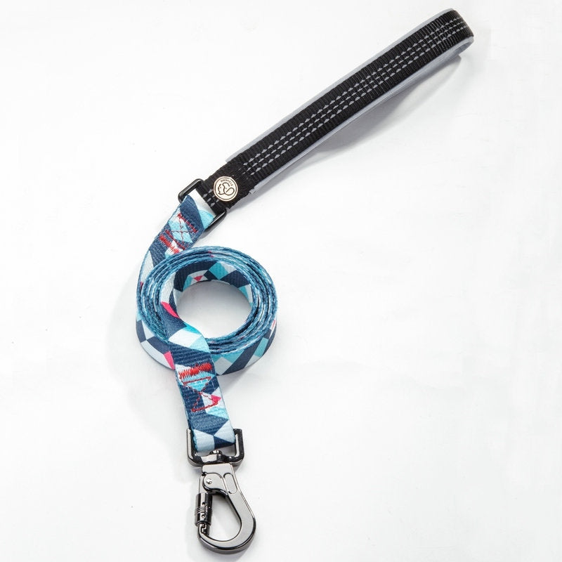 Elevate Your Dog Walking Experience with Our Durable Pet Leash